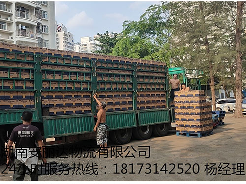 饮品(pǐn)专业(yè)运输就选湖南安丽(lì)达物流有限(xiàn)公(gōng)司 饮品专业运输就(jiù)选(xuǎn)湖南乐鱼网页版和安丽达物流有限公司